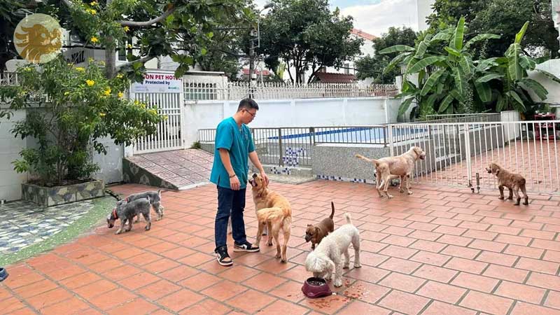 Benh-vien-thu-y-saigon-pet-da-nang